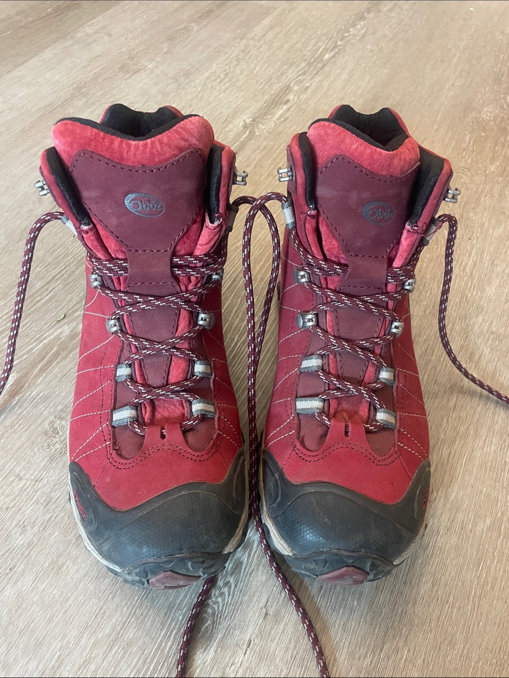 Oboz Bridger BDry Hiking Boots